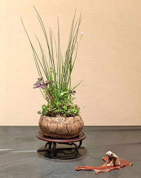 Kusamono von Sooncheng Cheah in einer unglasierten Steinzeug-Schale